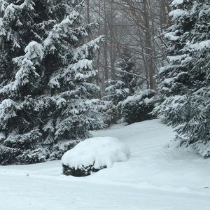 Meet your Posher, Marge